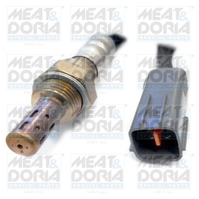 Oxygen Sensor